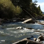 Purpose and Utility of Fly Fishing Nippers