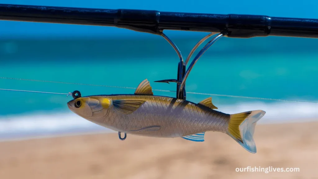 What Bait to Use for Saltwater Fishing